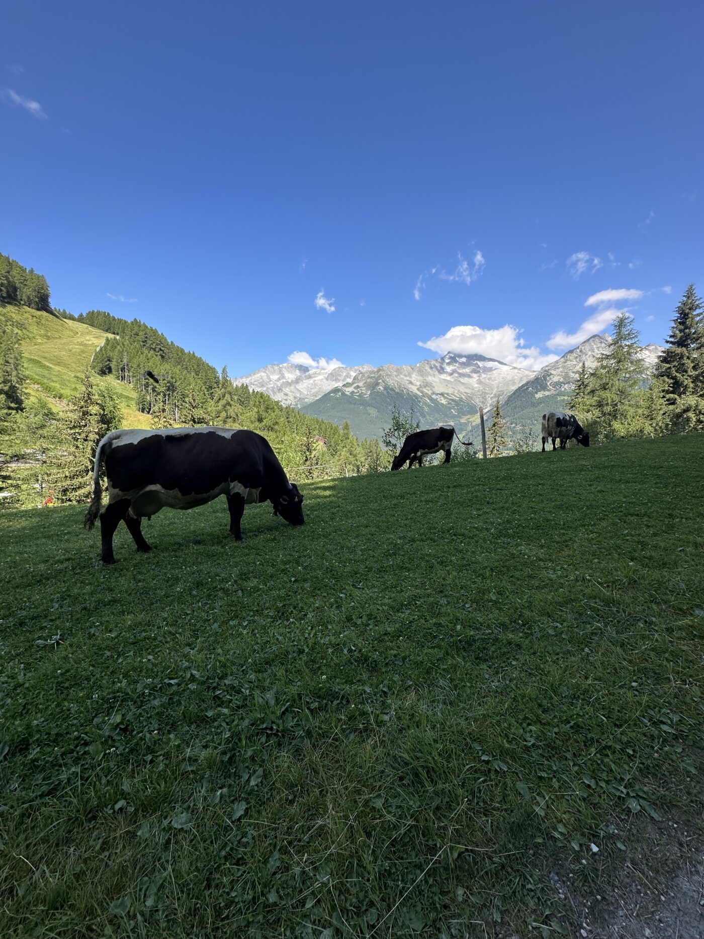 Natura, family hotel e sentieri con passeggino: guida pratica a una vacanza con bambini piccoli in Valle Aurina.