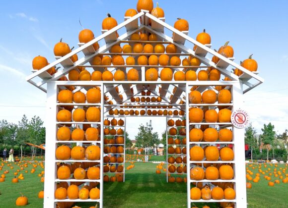 Il Giardino delle Zucche: l’autunno che diventa una favola zucca 3