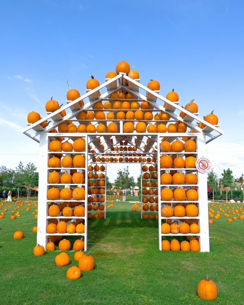 Il Giardino delle Zucche: l’autunno che diventa una favola zucca 3