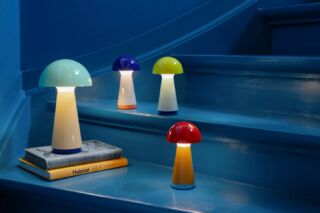 ✨ Illuminare l’estate con stile: le nuove lampade **REMEMBER** portano colore, praticità e carattere in ogni angolo di casa e in vacanza. ☀️💡 Dalla portatile Ole alla calda Anna di carta, passando per Piet, Fritz, Bob e Bobbi: una collezione che trasforma giardini, terrazze e scrivanie in piccoli rifugi di design. Scopri di più nel nostro articolo completo e lasciati ispirare. Link in bio o nelle Storie. @remember.de

#PolkadotMag #DesignLifestyle #RememberLighting #SummerDecor #HomeInspo